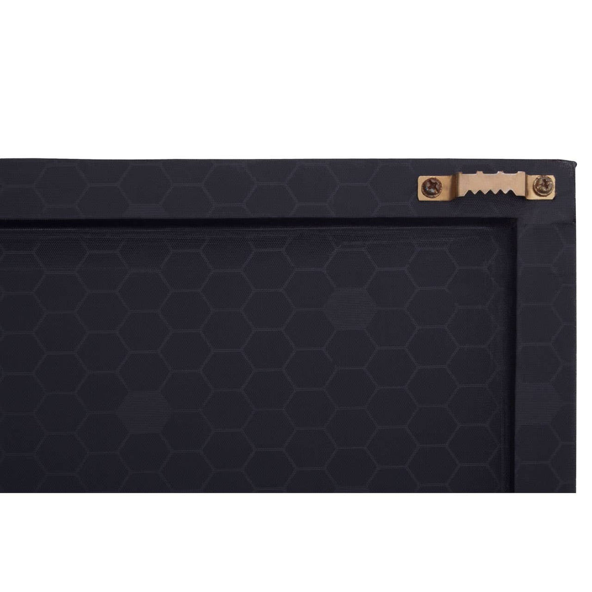 Safira Zebra Wall Art.