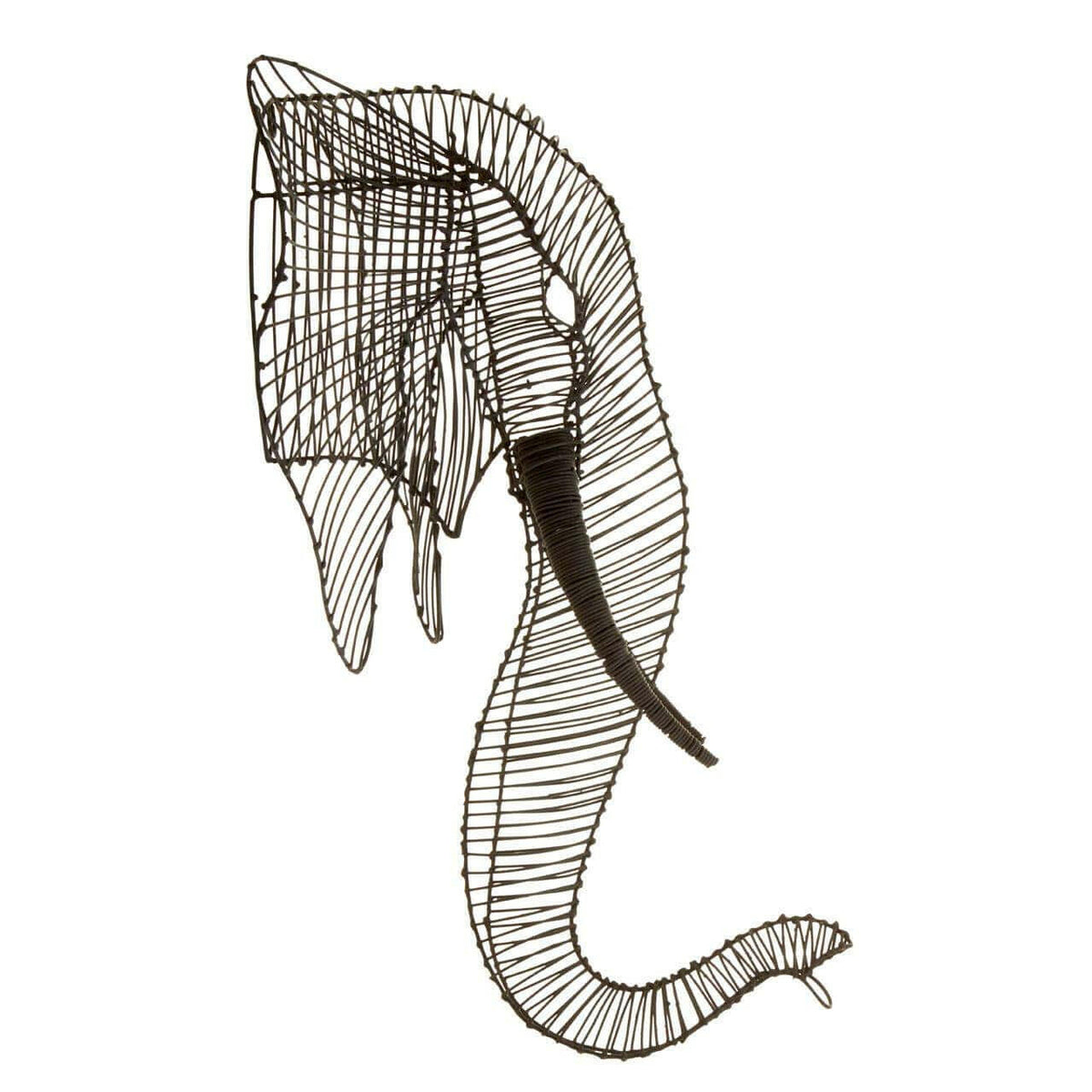 Zania Elephant Head.