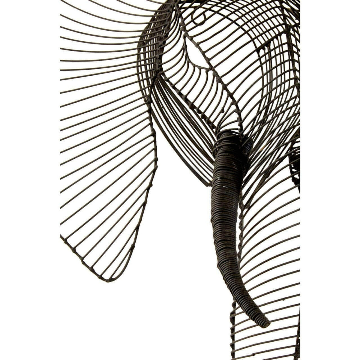 Zania Elephant Head.