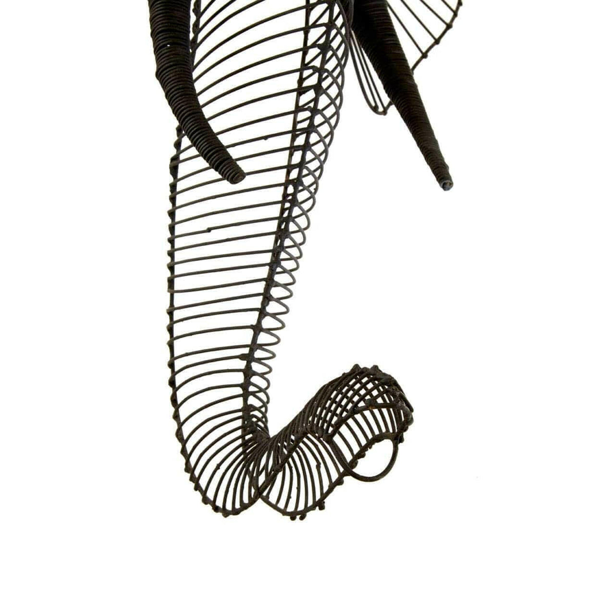 Zania Elephant Head.