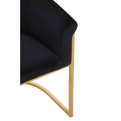 Noosa & Co. Dining Vogue Black Velvet And Matte Gold Dining Chair House of Isabella UK