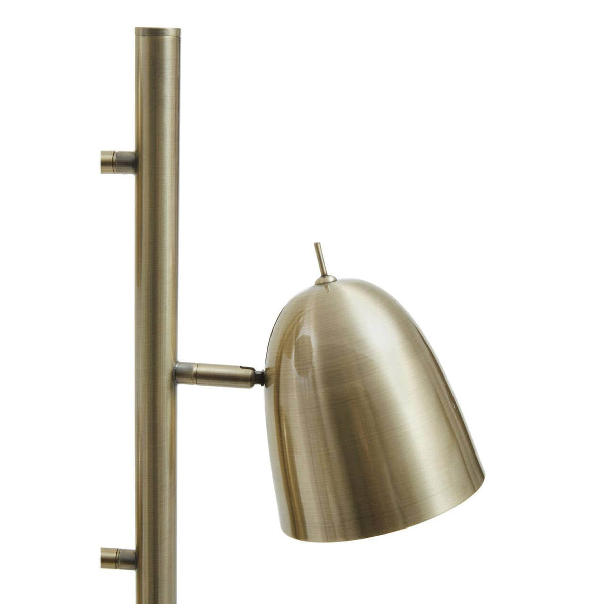 Newton Brass Finish Floor Lamp.