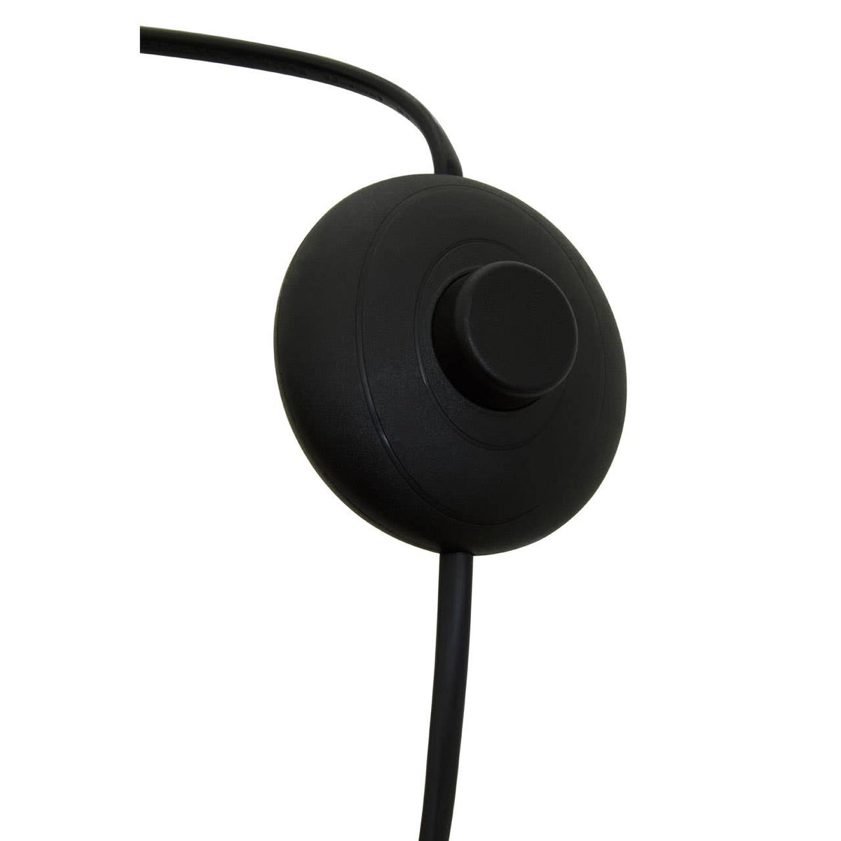 Newton Brass Finish Floor Lamp.