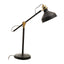 Newton Desk Lamp.