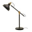 Newton Desk Lamp.