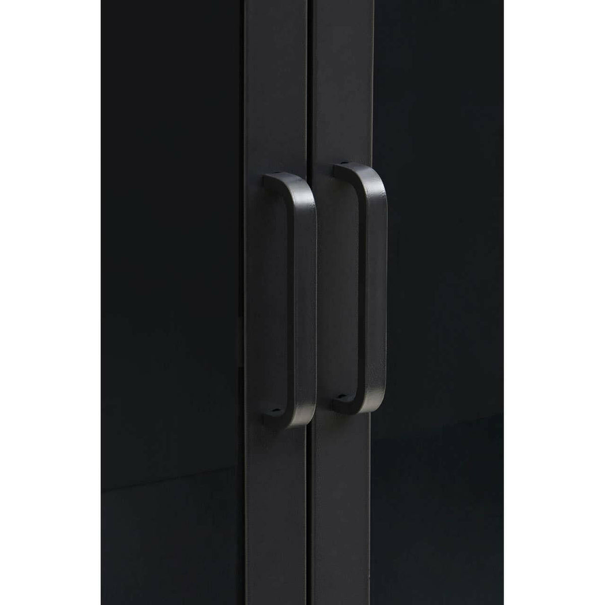 Acier Two Door Black Cabinet With Shelf.