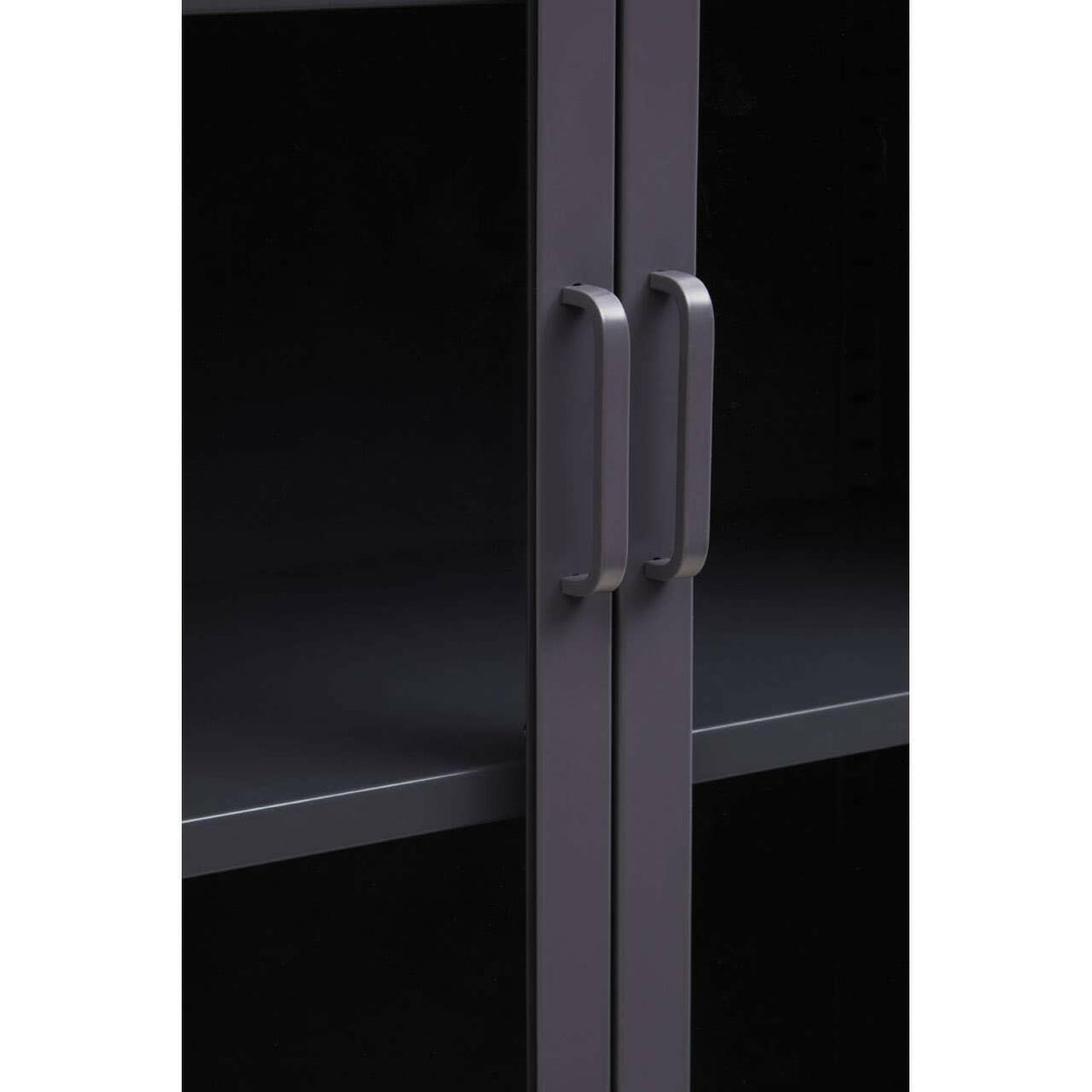 Acier Two Door Grey Cabinet With Shelf.