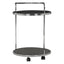 Noosa & Co. Living Ackley 2 Tier Silver Drinks Trolley with Black Glass House of Isabella UK