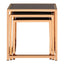 Noosa & Co. Living Ackley Set of 3 Gold Frame Nesting Tables with Black Glass House of Isabella UK
