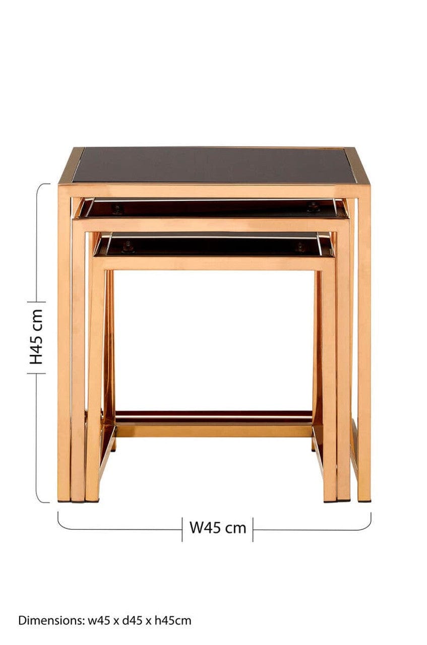 Noosa & Co. Living Ackley Set of 3 Gold Frame Nesting Tables with Black Glass House of Isabella UK