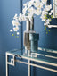 Noosa & Co. Living Allure Tempered Glass Silver Finish Console Table House of Isabella UK