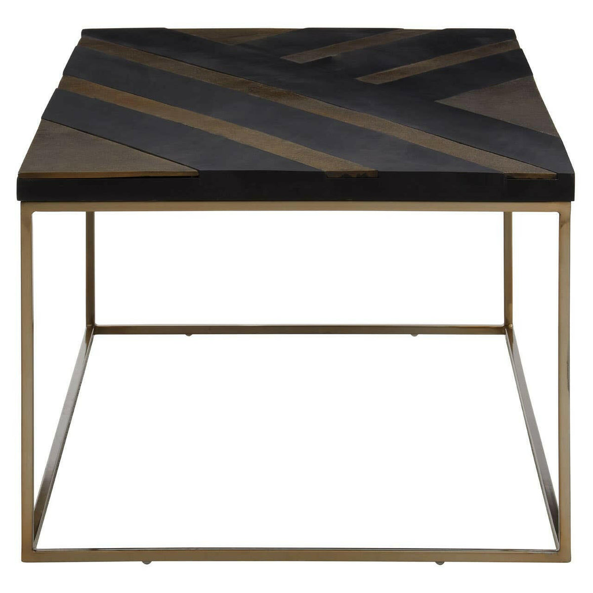 Aris Black And Gold Coffee Table.