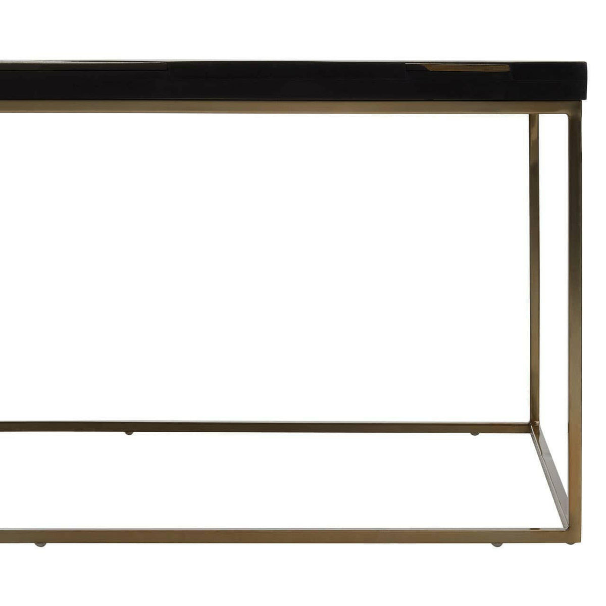 Aris Black And Gold Coffee Table.