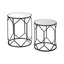 Noosa & Co. Living Avantis Set Of 2 Polygonal Frame Tables House of Isabella UK