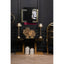 Noosa & Co. Living Deana Gold and Black Console Table House of Isabella UK