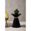 Noosa & Co. Living Martini Black Glass Side Table House of Isabella UK