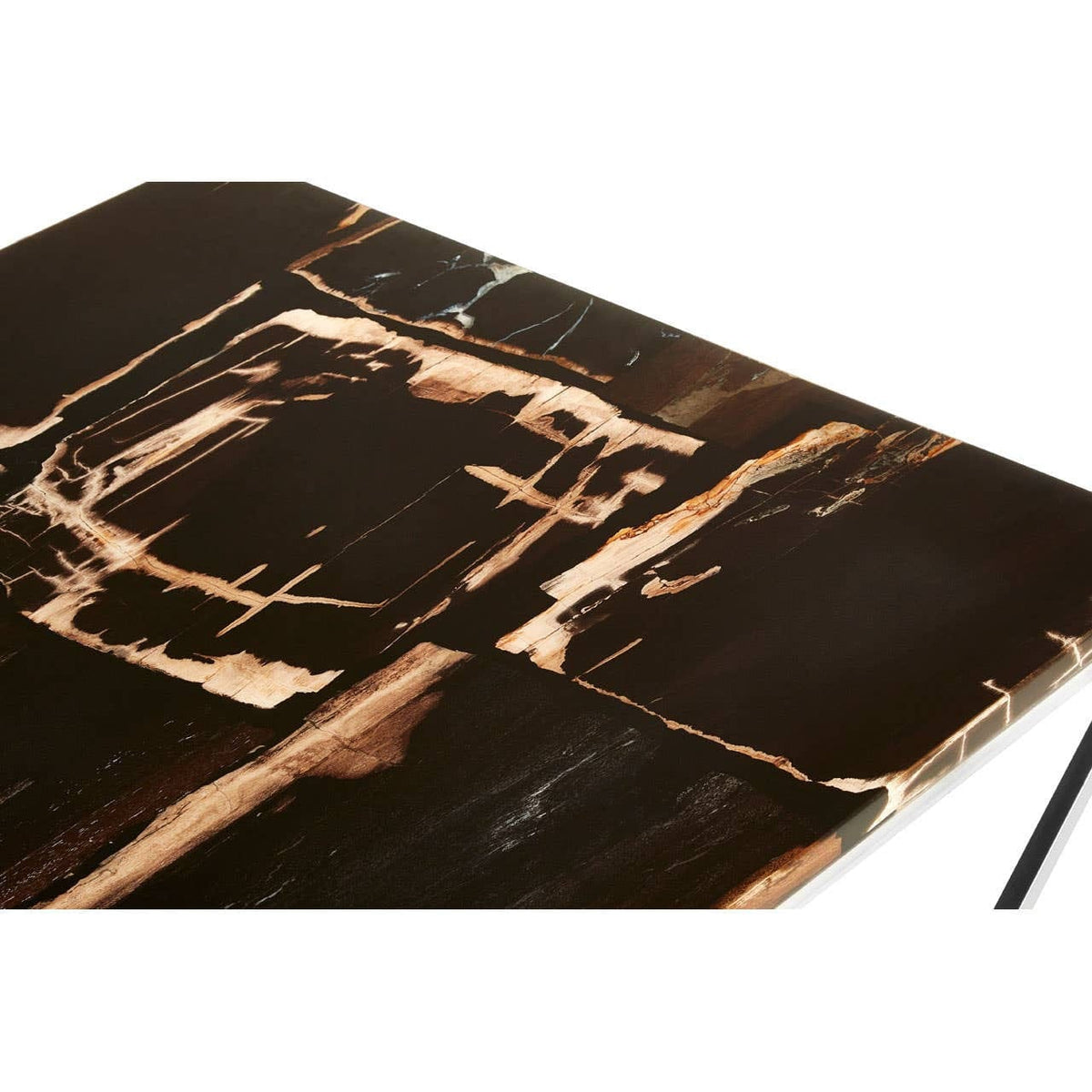 Noosa & Co. Living Relic Dark Petrified Wood Top Coffee Table House of Isabella UK