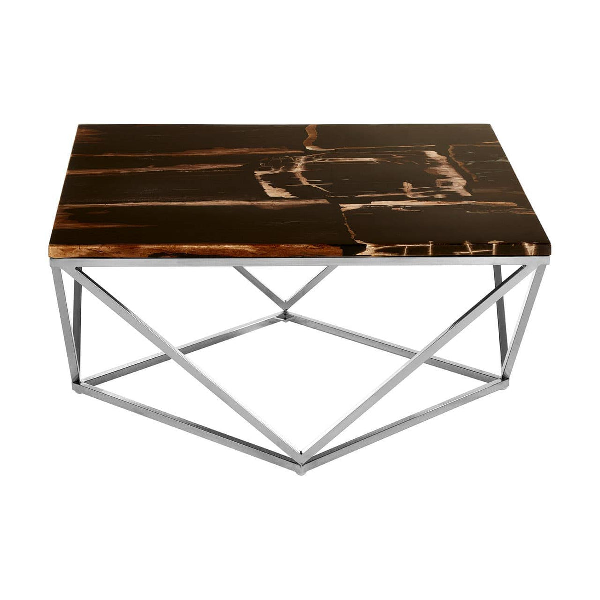 Relic Dark Petrified Wood Top Coffee Table.