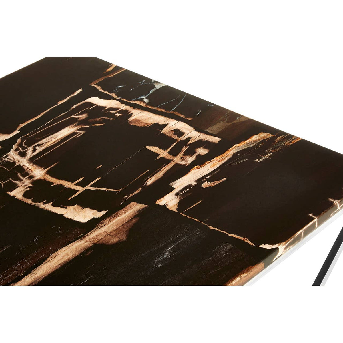 Relic Dark Petrified Wood Top Coffee Table.