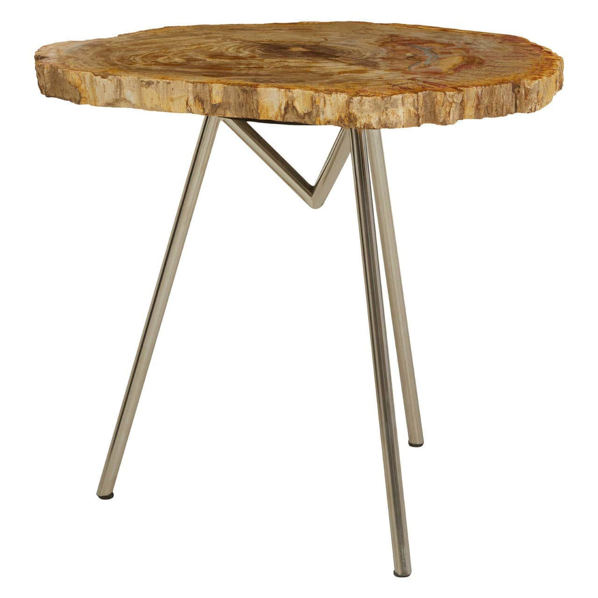 Relic Large Petrified Wood Side Table.