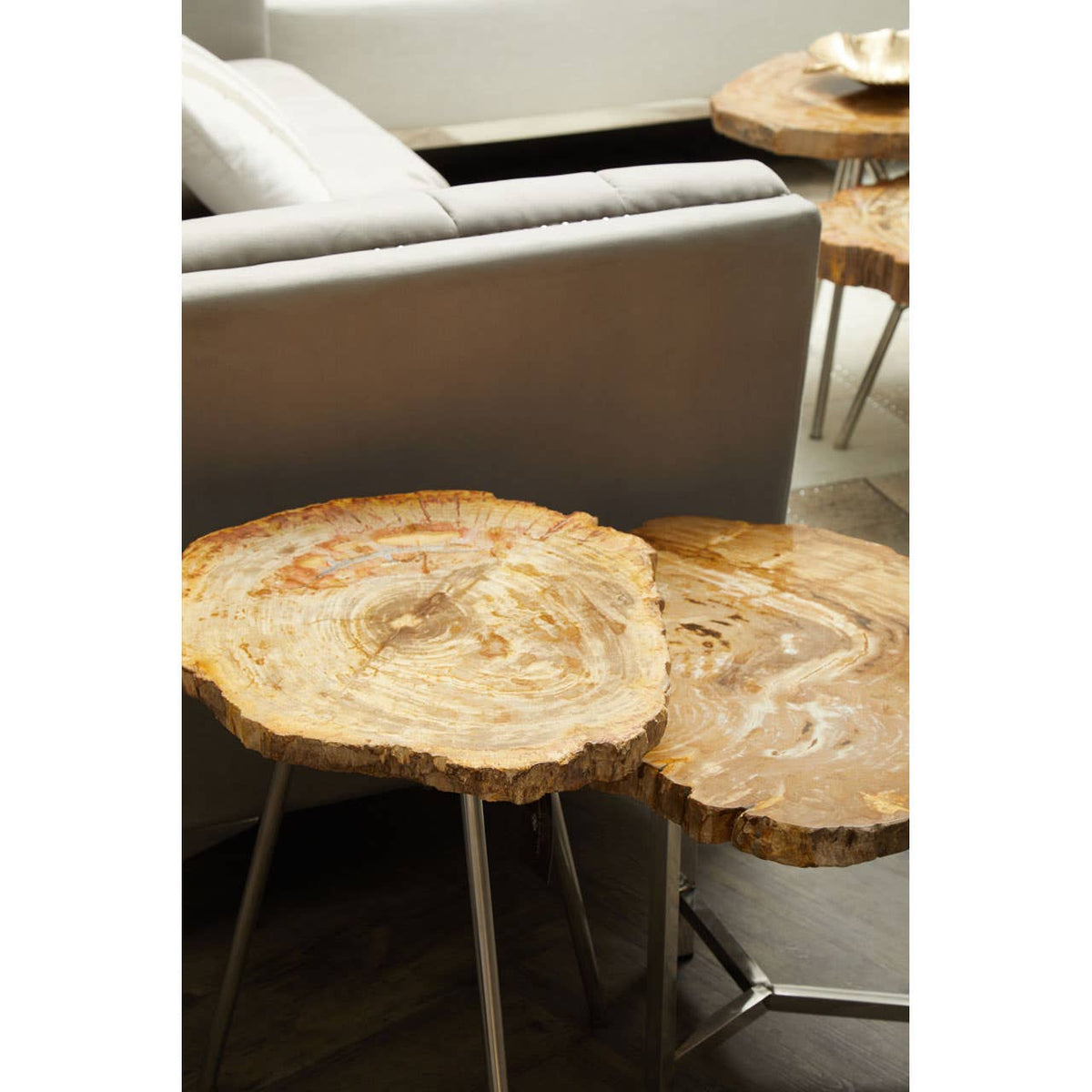 Relic Large Petrified Wood Side Table.