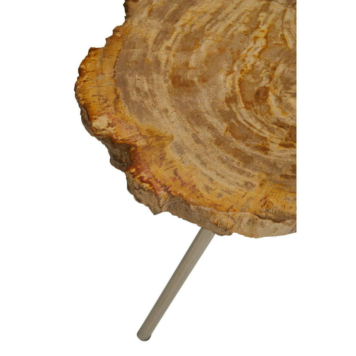 Relic Large Petrified Wood Side Table.