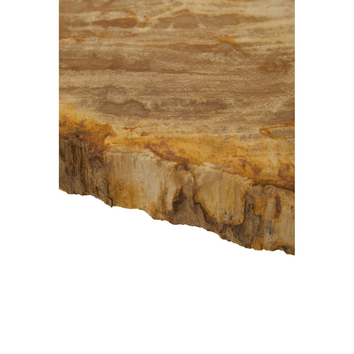 Relic Large Petrified Wood Side Table.