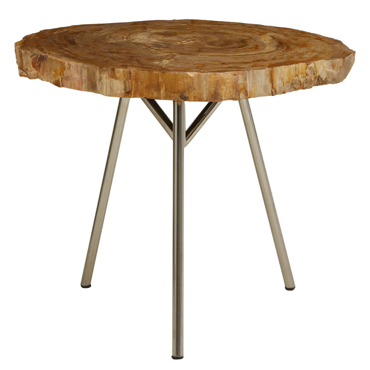 Relic Medium Petrified Wood Side Table.