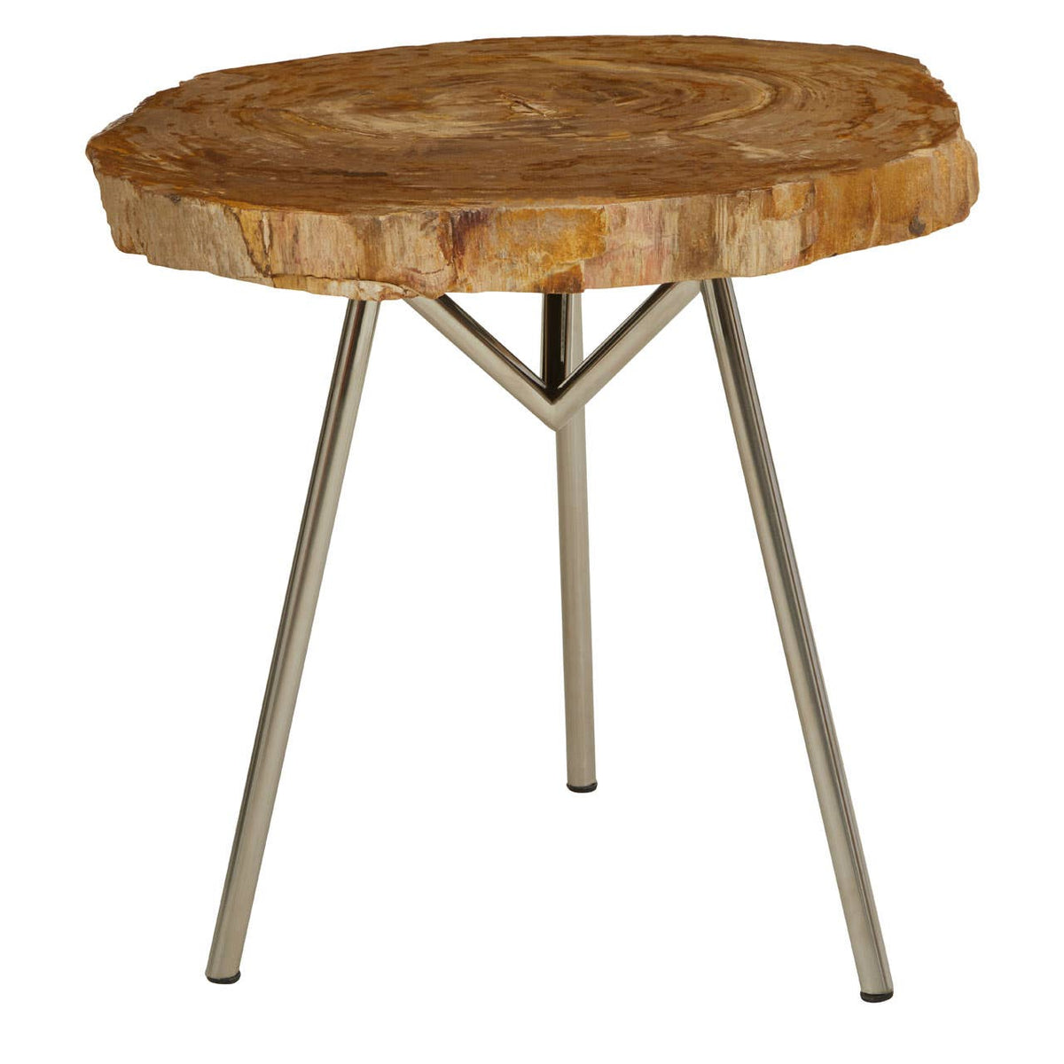 Relic Medium Petrified Wood Side Table.