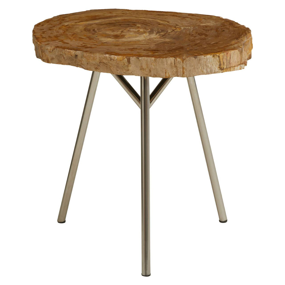 Relic Medium Petrified Wood Side Table.