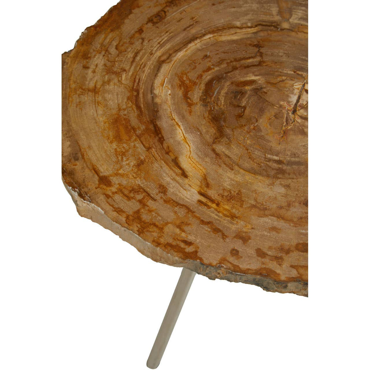 Relic Medium Petrified Wood Side Table.