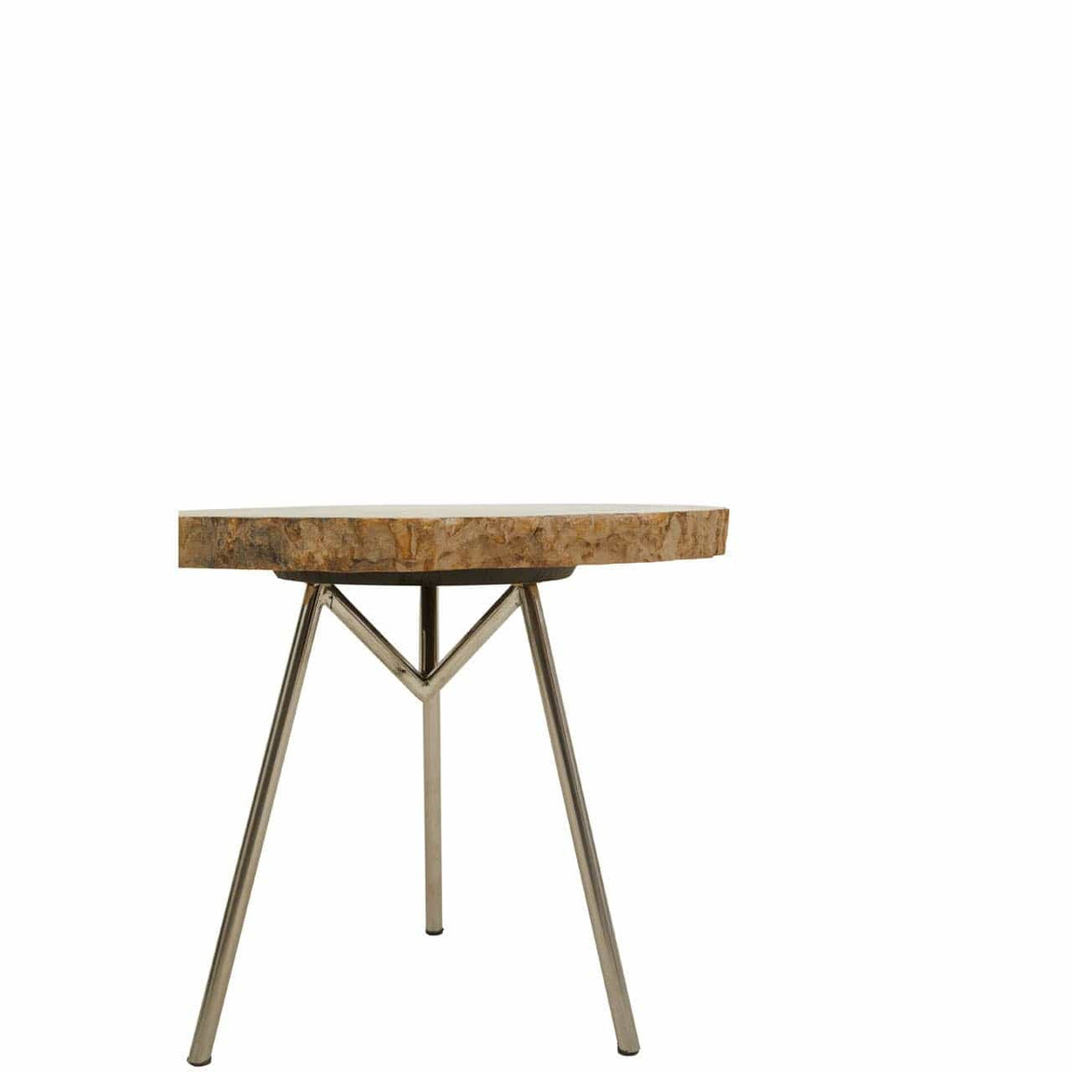 Relic Medium Petrified Wood Side Table.