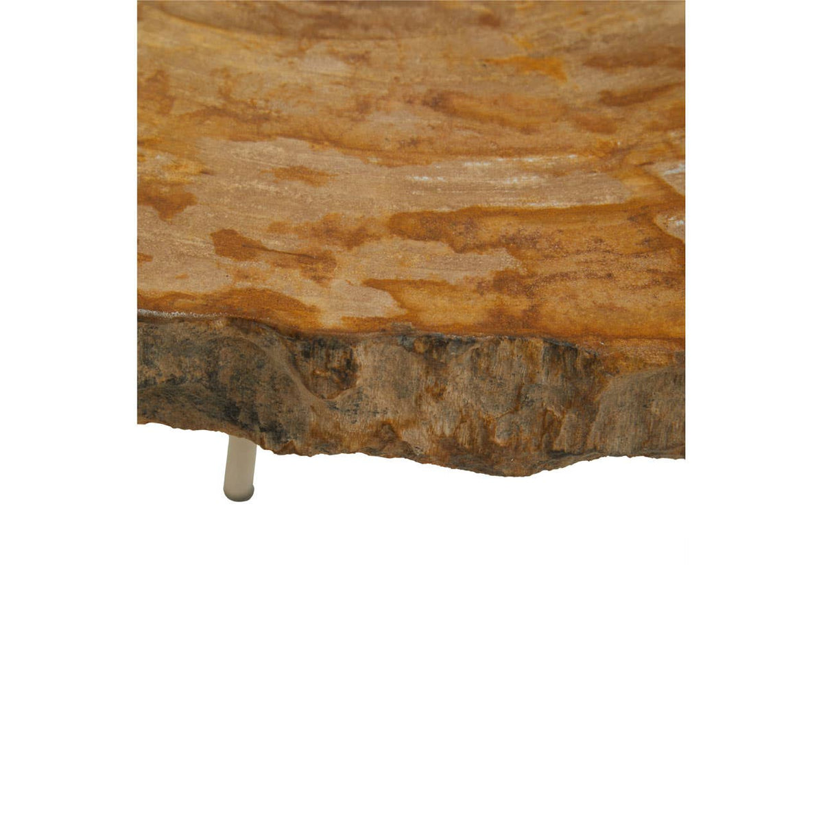 Relic Medium Petrified Wood Side Table.