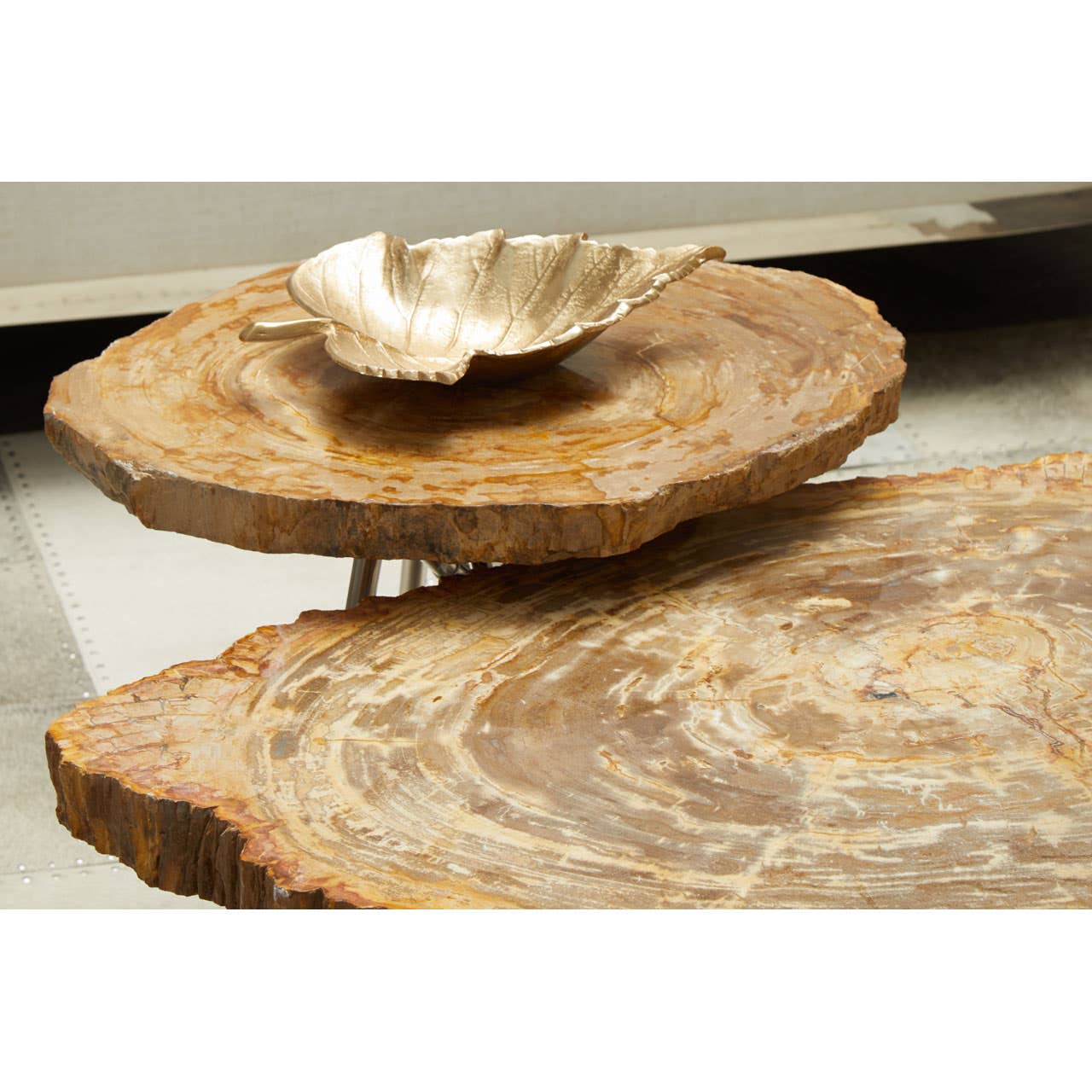 Noosa & Co. Living Relic Medium Petrified Wood Side Table House of Isabella UK