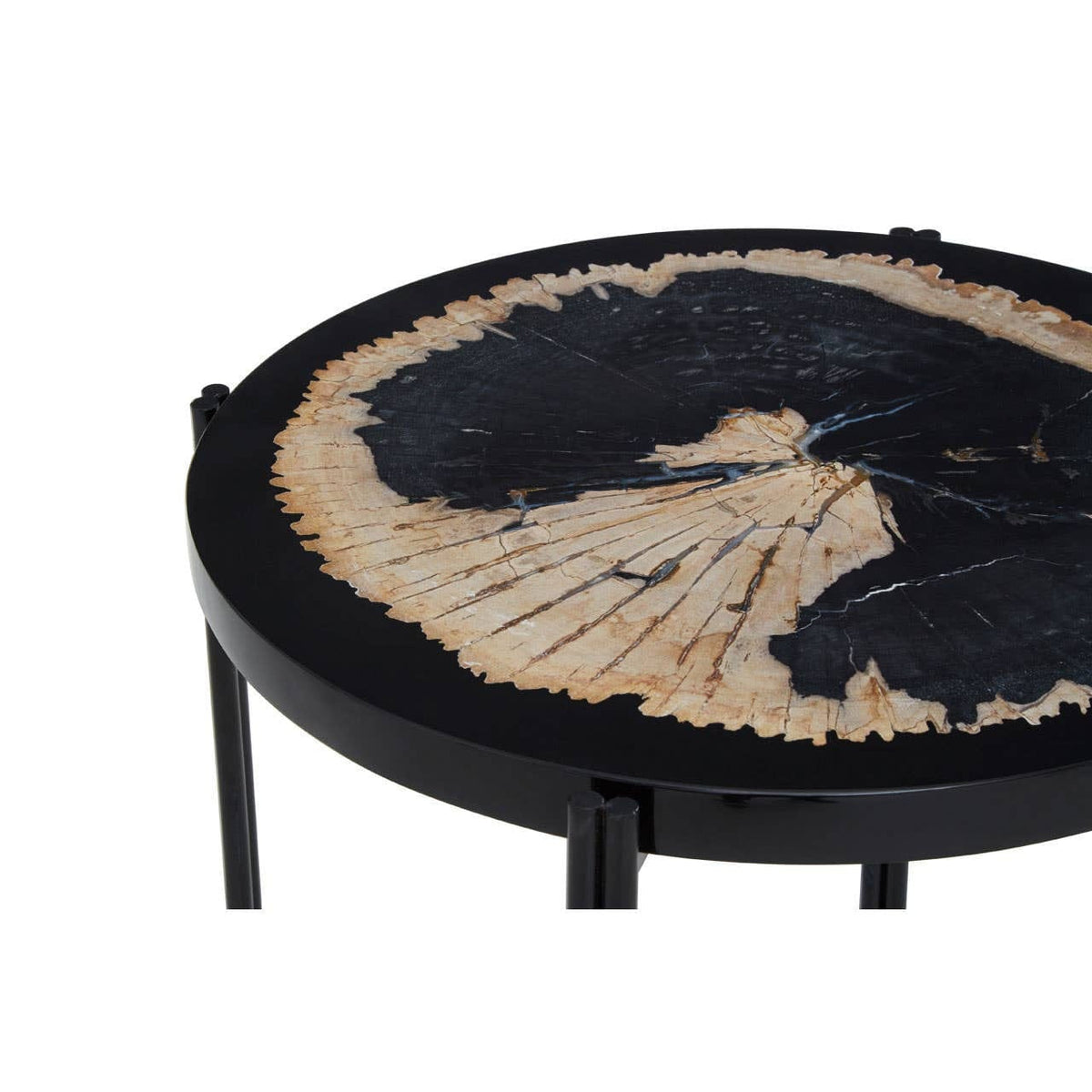 Noosa & Co. Living Relic Petrified Wood and Resin Side Table House of Isabella UK