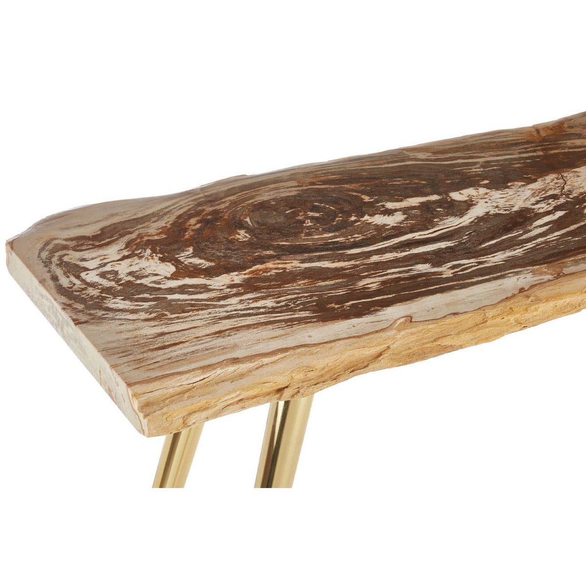 Relic Petrified Wood Console Table.