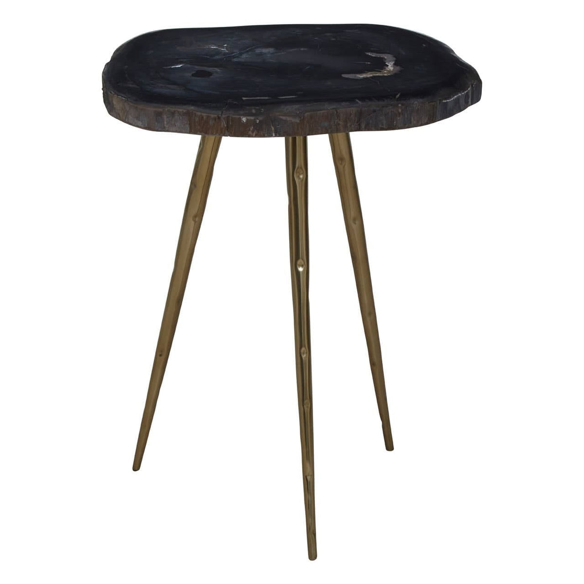 Relic Side Table With Petrified Wood Top and Brass Finish Legs.