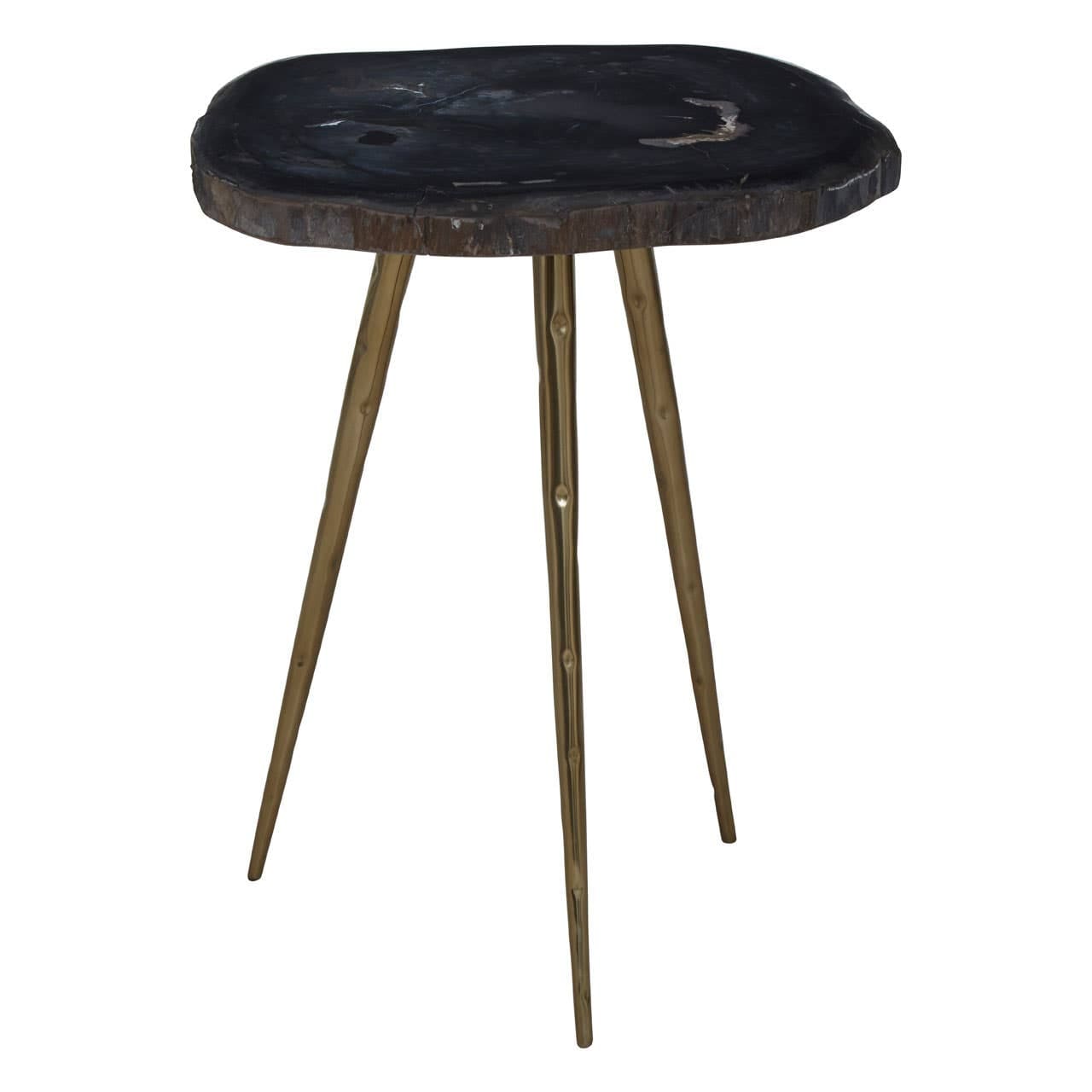 Noosa & Co. Living Relic Side Table With Petrified Wood Top and Brass Finish Legs House of Isabella UK