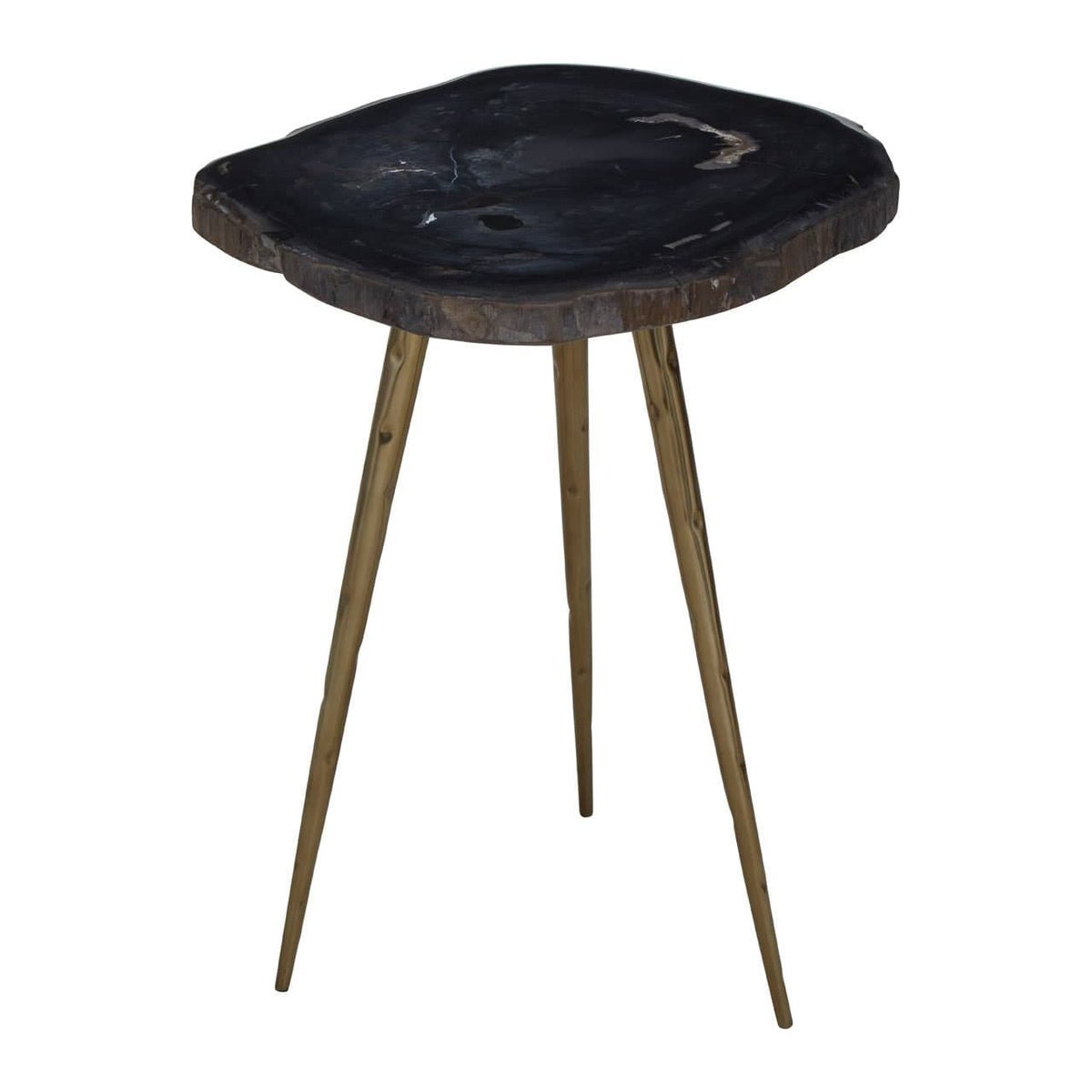 Relic Side Table With Petrified Wood Top and Brass Finish Legs.