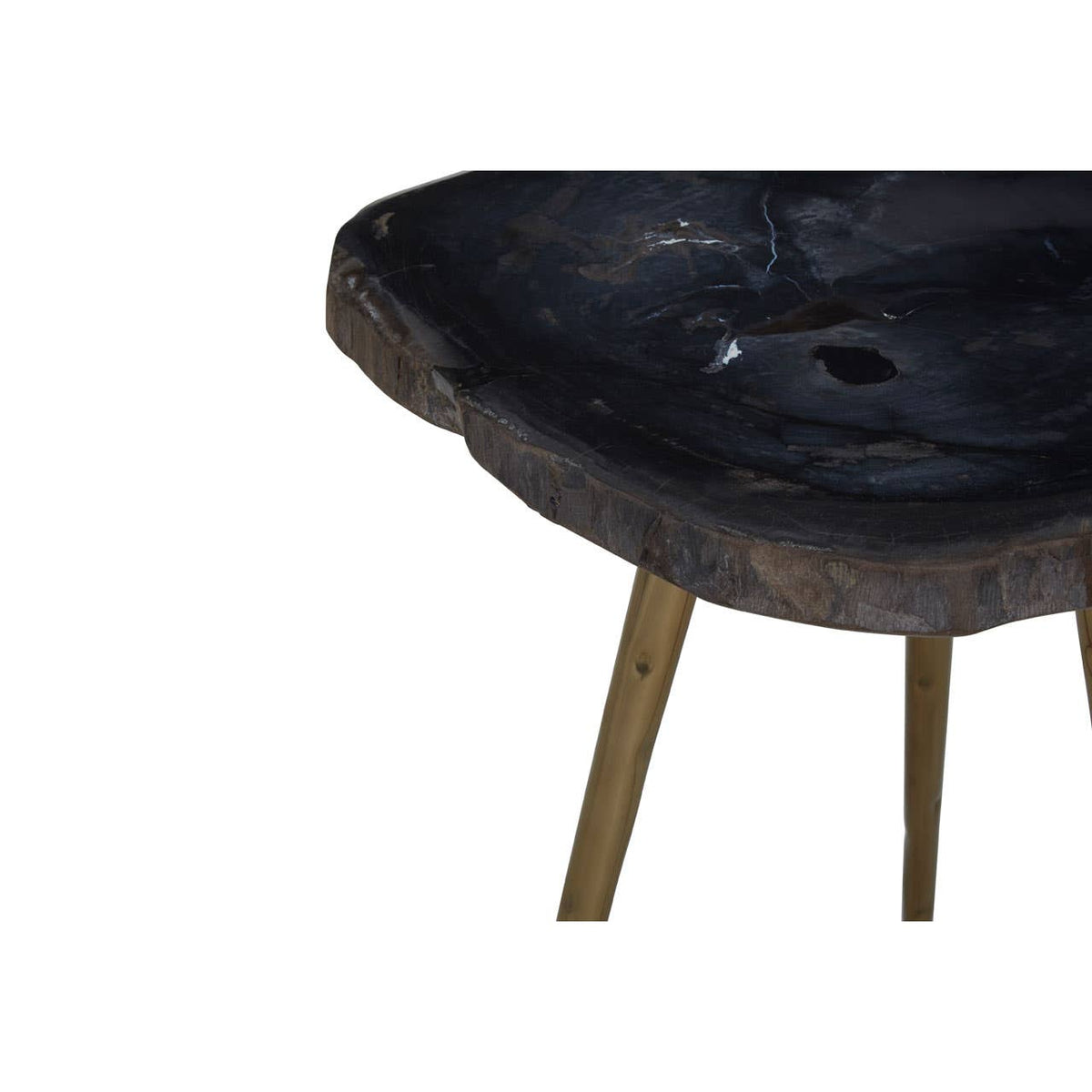 Relic Side Table With Petrified Wood Top and Brass Finish Legs.