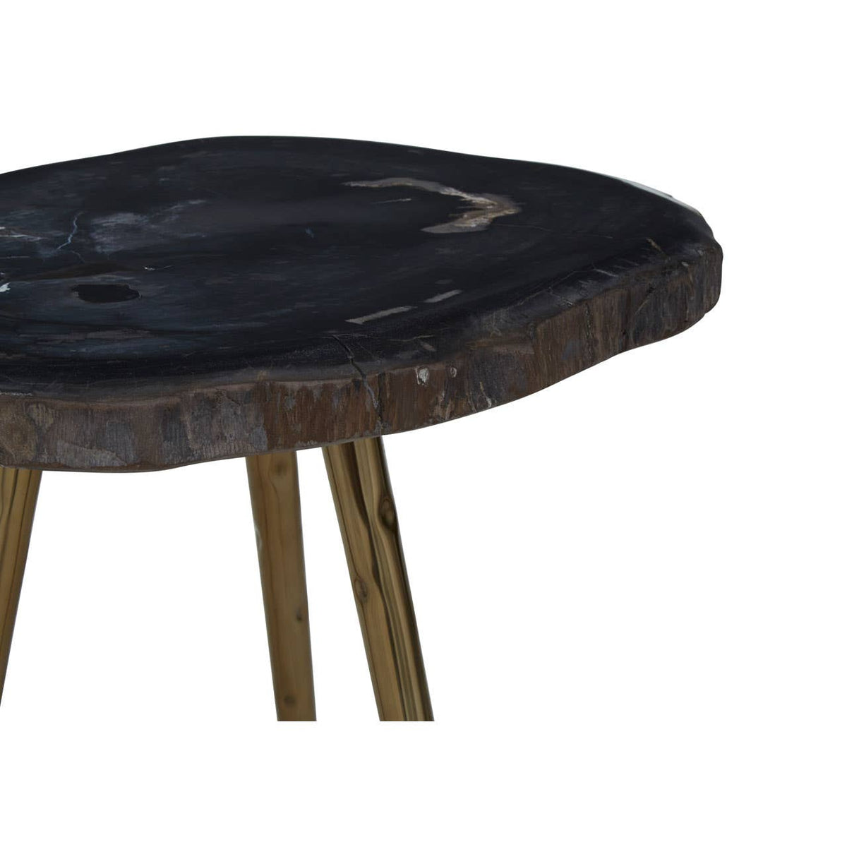 Relic Side Table With Petrified Wood Top and Brass Finish Legs.