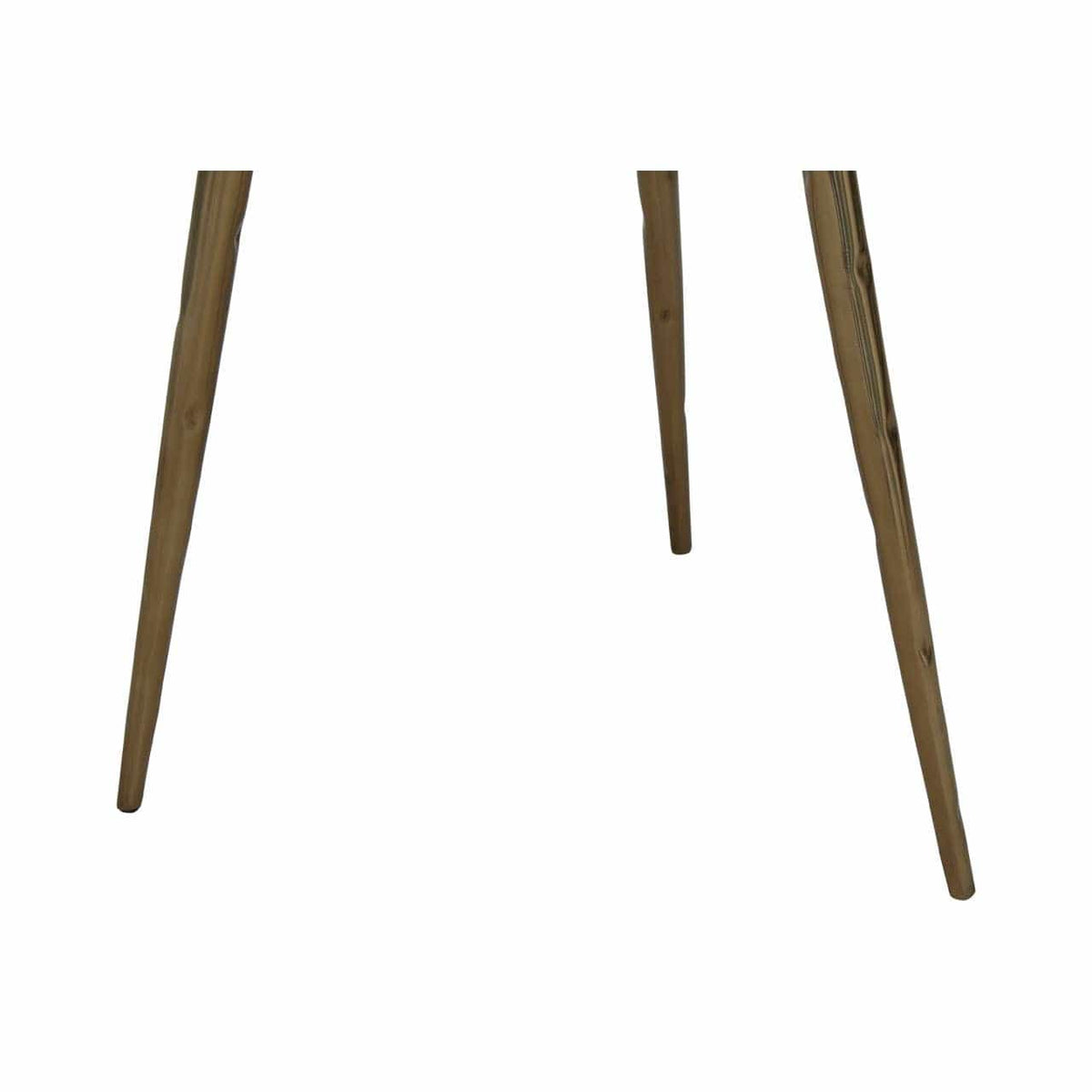 Relic Side Table With Petrified Wood Top and Brass Finish Legs.