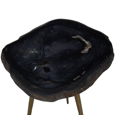 Noosa & Co. Living Relic Side Table With Petrified Wood Top and Brass Finish Legs House of Isabella UK