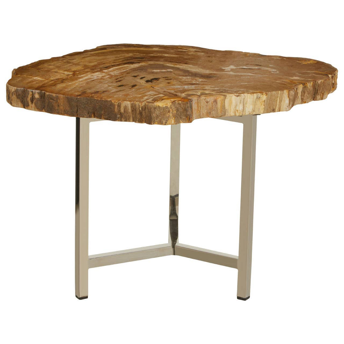 Relic Small Petrified Wood Side Table.