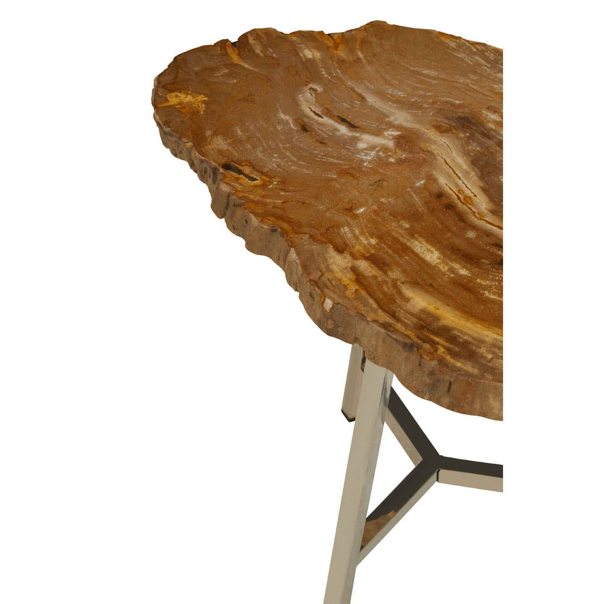 Relic Small Petrified Wood Side Table.