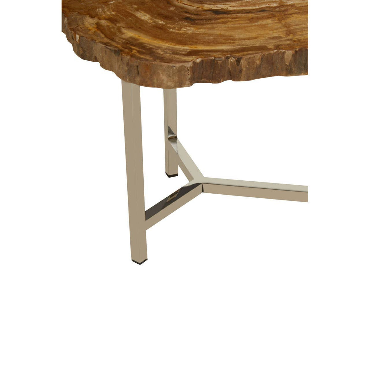 Relic Small Petrified Wood Side Table.