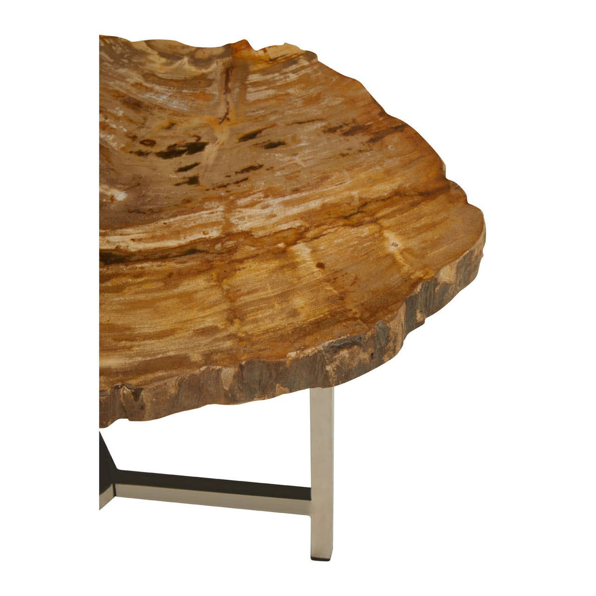 Relic Small Petrified Wood Side Table.