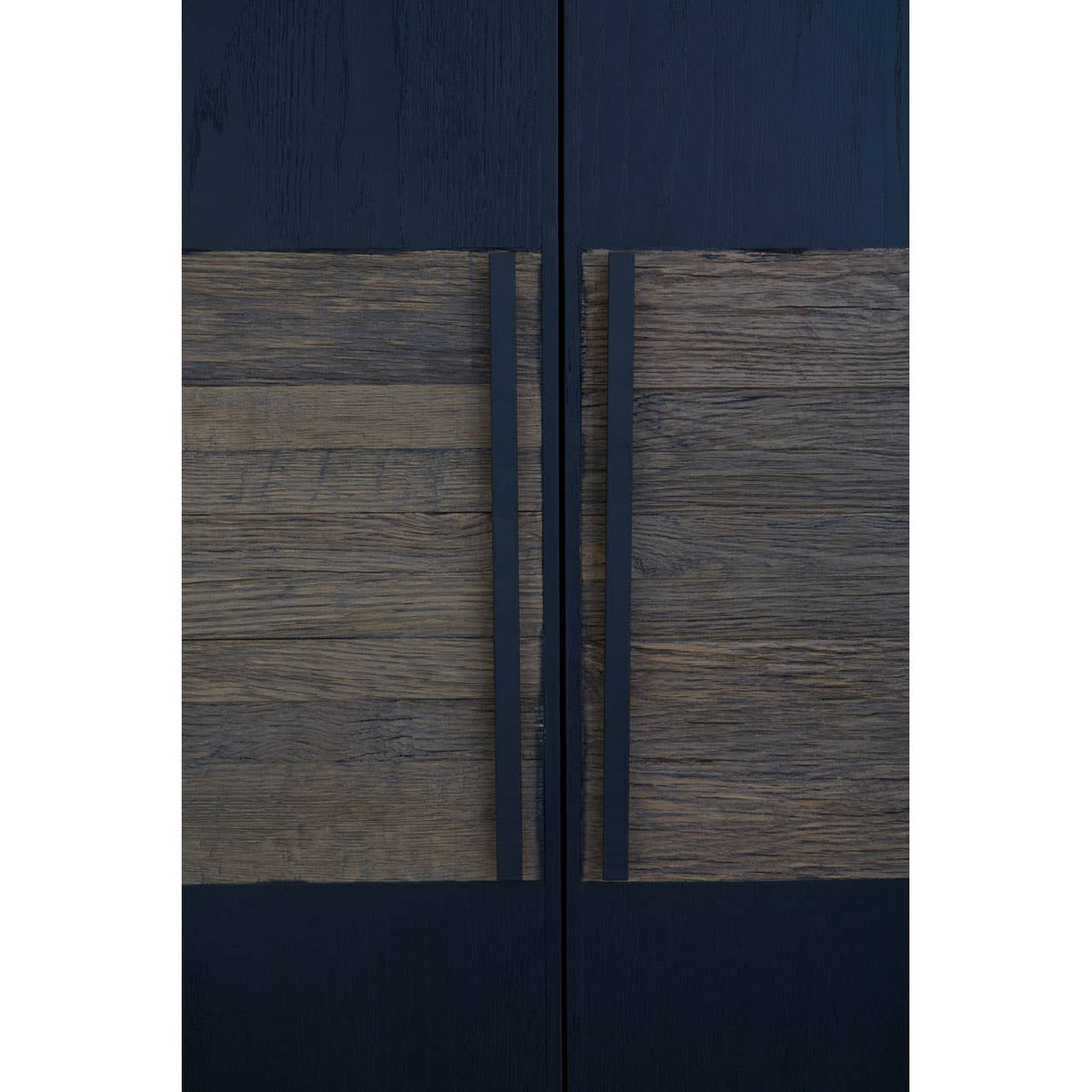 Salvos 2 Door Cabinet.