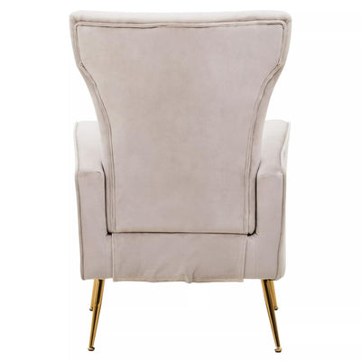 Noosa & Co. Living Zamora Mink Velvet Accent Chair With Gold Finish Legs House of Isabella UK