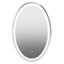 Noosa & Co. Mirrors Avelino Illuminated LED Silver Oval Mirror House of Isabella UK